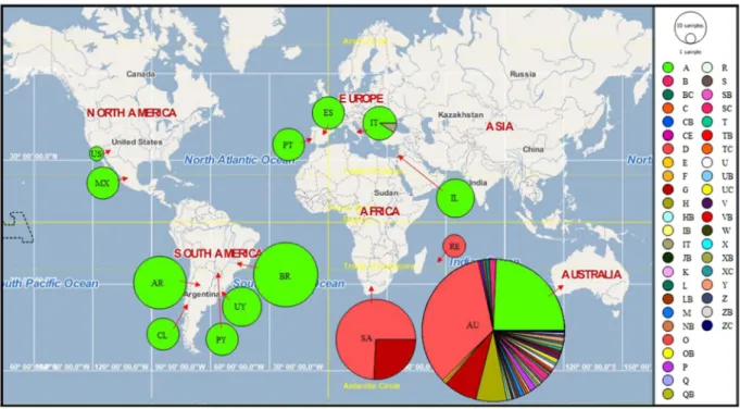 Figure 4.  Haplotype distribution of T. peregrinus in 14 countries. Australia (AU); Reunion Island (RE); 
