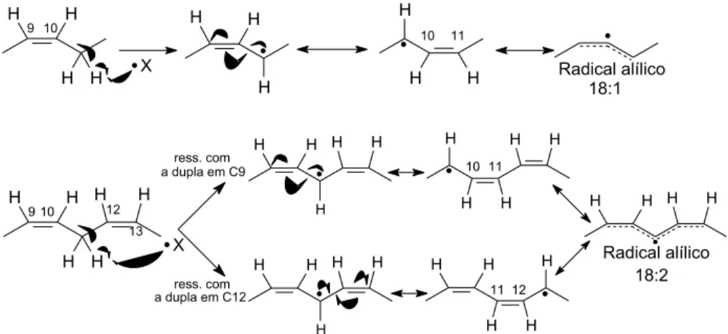 Figura  2. Reação radicalar de oxidação dos ácidos graxos 18:1 e 18:2. (Retirado de Carvalho, 2008.) 15