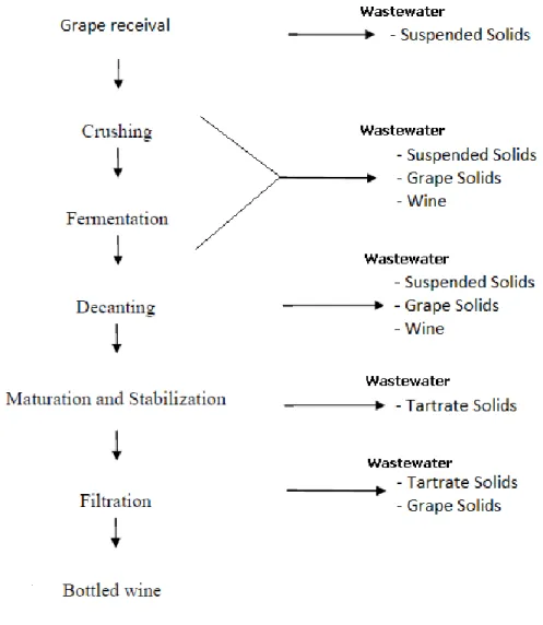 Figure 2.5 – Typical winery wastes and their sources  