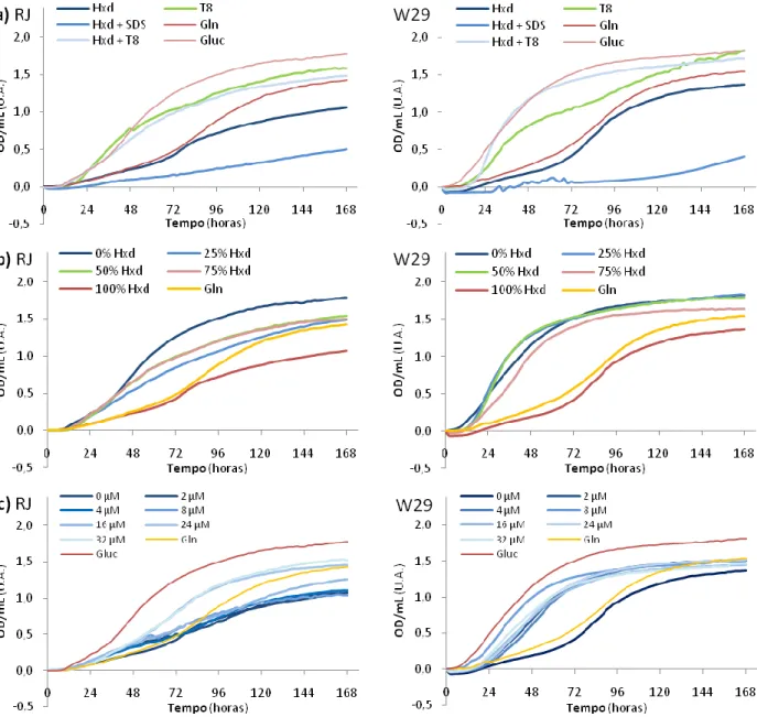 Figura 7 – Curvas de crescimento das duas estirpes no meio de Oligoelementos com tampão fosfatos pH 7 e glutamina  como fonte de N: a) Crescimento em Hxd com e sem surfactantes (SDS e Tween 80 (T80)) e comparação com T80, Gluc 