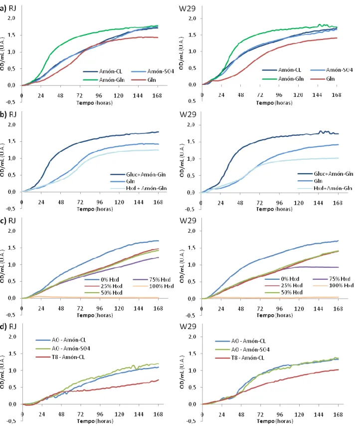 Figura  8  –  Curvas  de  crescimento  das  duas  estirpes  no  meio  de  Oligoelementos  com  tampão  fosfatos  pH  7:  a)  crescimento em Gluc com diferentes fontes de N (N), Cloreto de Amónio (Amón-CL), Sulfato de Amónio (Amón-SO4)  e Glutamina (Amón-Gl