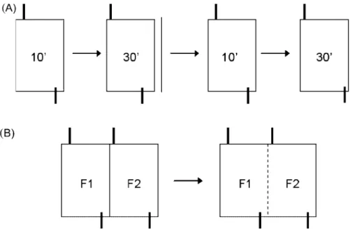 Fig. 1. Set-up of the experiments: In both experiments oxygen consumption was measured before and during the test; in the mirror-image stimulation test (A) males ﬁrst were tested with their mirror image and subsequently were tested with a neutral stimulus 
