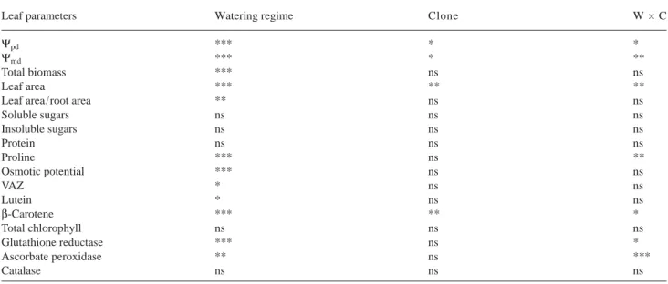 Table 2. Statistical significance of the effects of watering regime (W), clone (C) and their interaction as determined by 2-way analysis of variance of leaf variables: leaf water potential (predawn, Ψ pd and midday, Ψ md ), leaf area, leaf area/root area, 