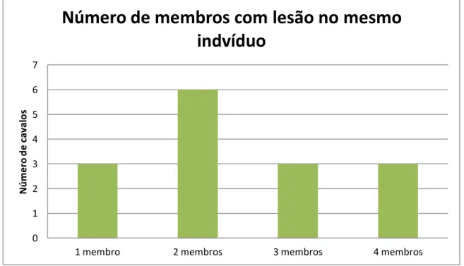 Gráfico 3 - Número de membros com lesão no mesmo indivíduo 