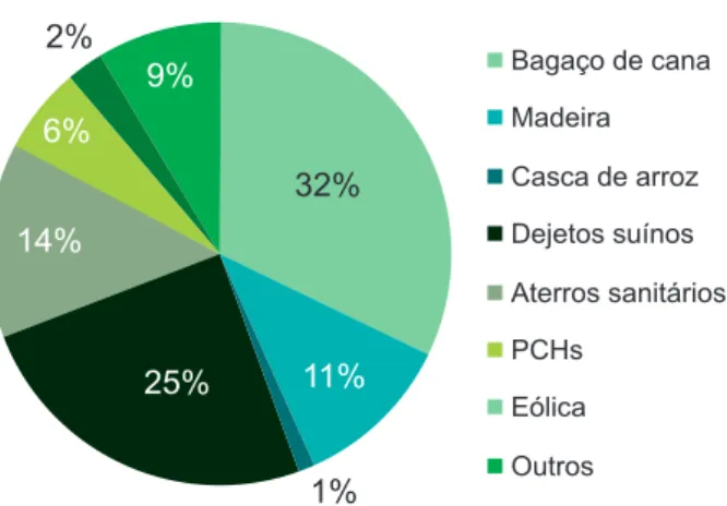 Fig. 1. Perfil dos projetos de MDL aprovados pelo governo brasileiro.