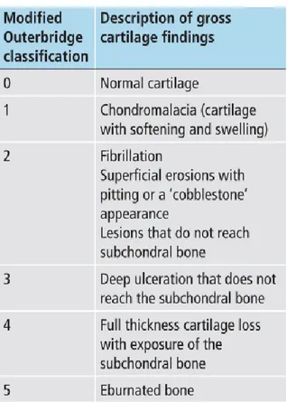 Figura 1 – Escala de Outerbridge Modificada  para classificação das lesões da cartilagem