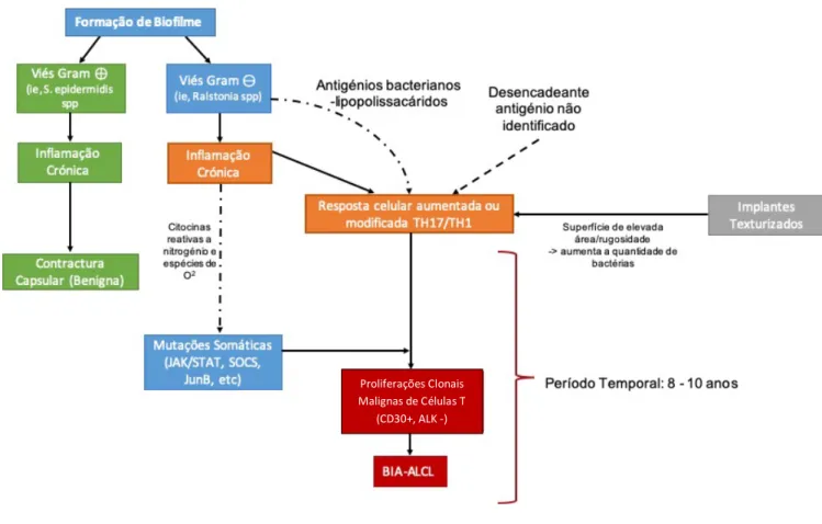 Figura 2 - Interação proposta dos vários factores patogénicos na génese do BIA-ALCL 
