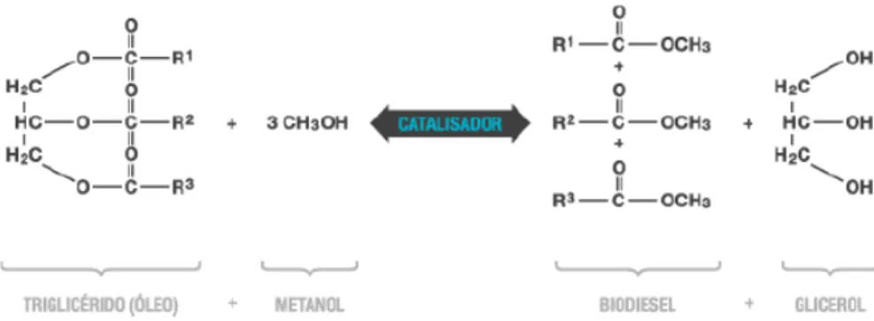Figura 2- Reação de transesterificação para produção de biodiesel. Os radicais R 1 , R 2  e R 3  representam  cadeias de ácidos gordos (Naik, Goud, Rout, &amp; Dalai, 2010)