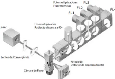 Figura 4-Configuração de um citómetro de fluxo (Lopes da Silva, Reis, Hewitt, &amp; Roseiro, 2004) 