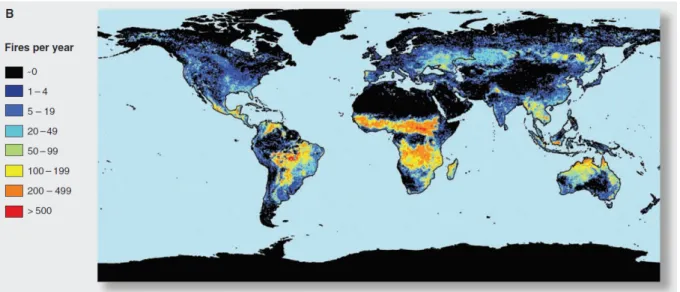 Figure 2.3: Current global pyrogeography illustrated by annual average number of fires, using satellite data [Bowman et al., 2009].