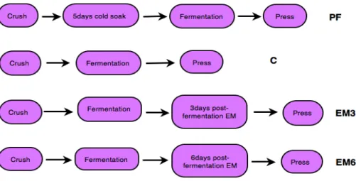 Figure  2-1: Flow-chart showing differences between winemaking treatments, where PF  is the pre- pre-fermentation maceration treatment, C  is the control treatment, EM3  is the 3days post-fermentation  extended  maceration  treatment,  and  EM6  the  6days