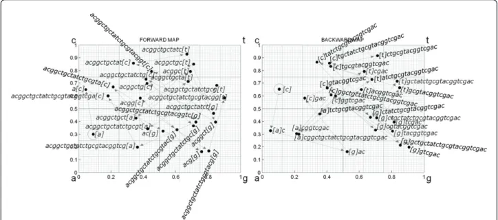 Figure 1 Graphic computation of USM encoding by generating forward (Equation 1) and backward (Equation 2) CGR successions