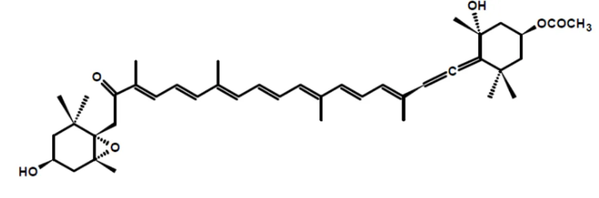 Figure 4 – Fucoxanthin structure. 