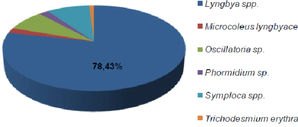 Table  2  –  Marine  cyanobacterial  compounds  with  potential  anticancer  properties