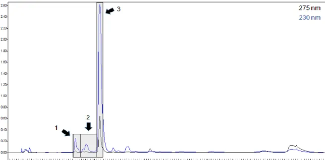 Figure  10  –  Chromatogram  of  E13010  F-6.2  showing  highlighted  sub-fraction  F-6.2.1