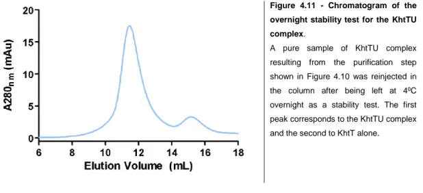 Figure  4.11  -  Chromatogram  of  the  overnight  stability  test  for  the  KhtTU  complex