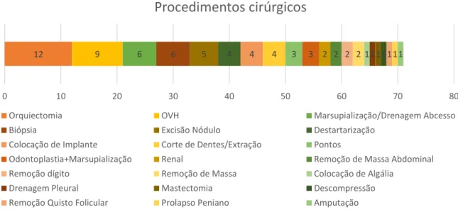 Gráfico 2. Representação gráfica do total de procedimentos cirúrgicos efectuados durante o  período de estágio