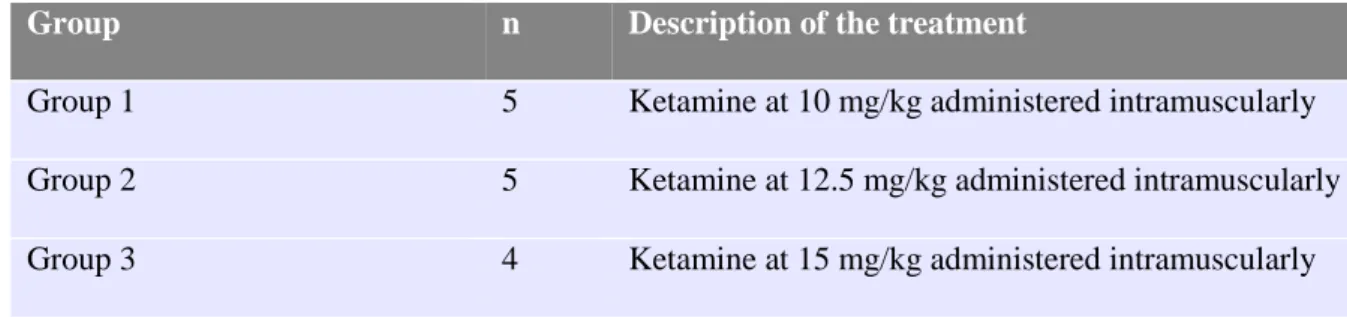 Table 2 – Treatment description of the experimental groups.