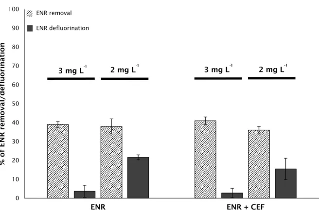 Figure 6. Biodegradation of ENR, supplied individually and in a mixture with CEF for the concentrations  of 3 and 2 mg L -1 