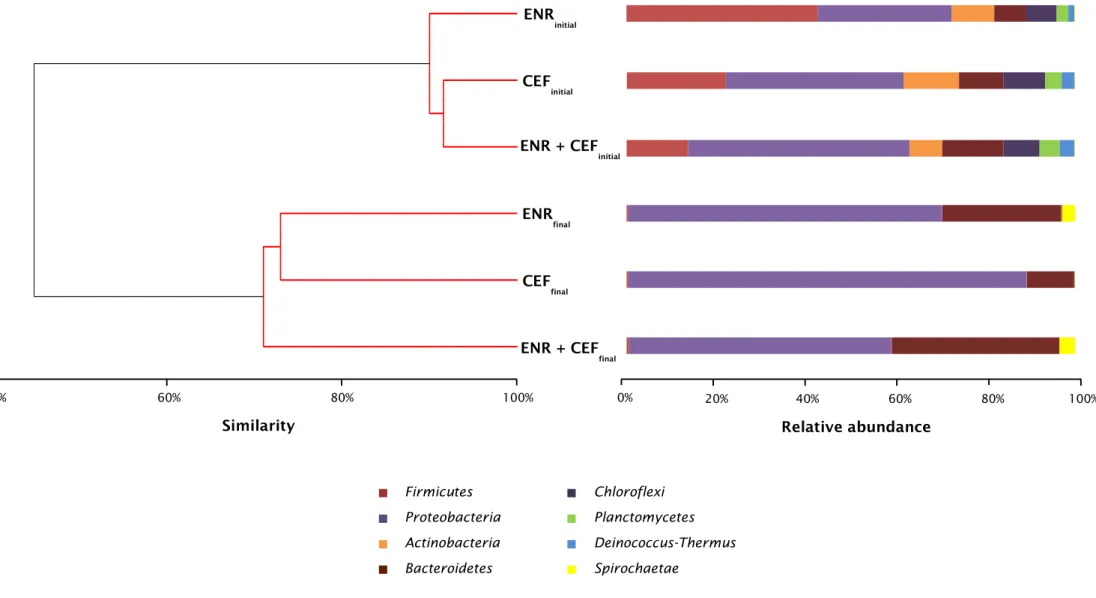 Figure 8. Cluster analysis based on Bray-Curtis similarity of metagenomics profiles of microbial communities and relative abundance of the different bacterial phyla at the  beginning and at the end of the biodegradation experiments