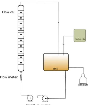 Figure 3.1. Flow sheet of experimental setup of flow cells. 