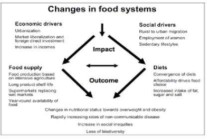 Figure 2: Changes in Food Systems   Source: Kennedy, G. et al (2006, 1-26) 