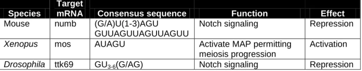 Table 1 | Musashi function in metazoans. Table of Musashi targets, consensus binding  sequences in 3’ UTRs of target mRNAs, and their role in three metazoan species where this  RNA binding protein is well characterized