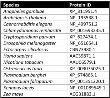 Table S3 | PCR cycling program 