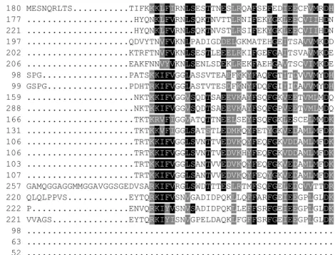 Table S5 | Musashi RRM1 domain alignment by MUSCLE  (http://www.ebi.ac.uk/Tools/msa/muscle/) 