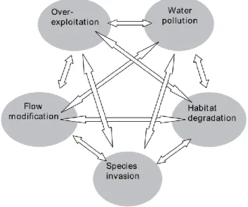Figure 1.1: Diagram representing the five major threats to freshwater biodiversity and their possible interactions (in  Dudgeon et al