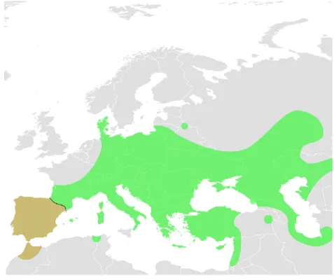 Figure  1.3:  Distribution  range  of  Emys  orbicularis.  The  Ibero-Maghrebian  lineage  is  here  highlighted  in  brown