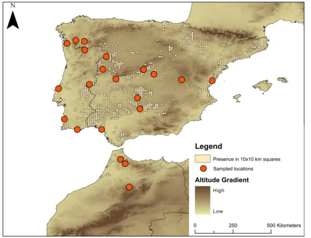 Figure  3.1:  Current  distribution  of  the  subspecies  Emys  orbicularis  occidentalis  (as  denoted  by  the  10x10km  squares in beige)