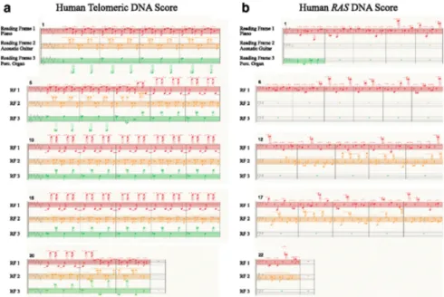 Figure 1. Musical score representation of DNA (Temple, 2017)