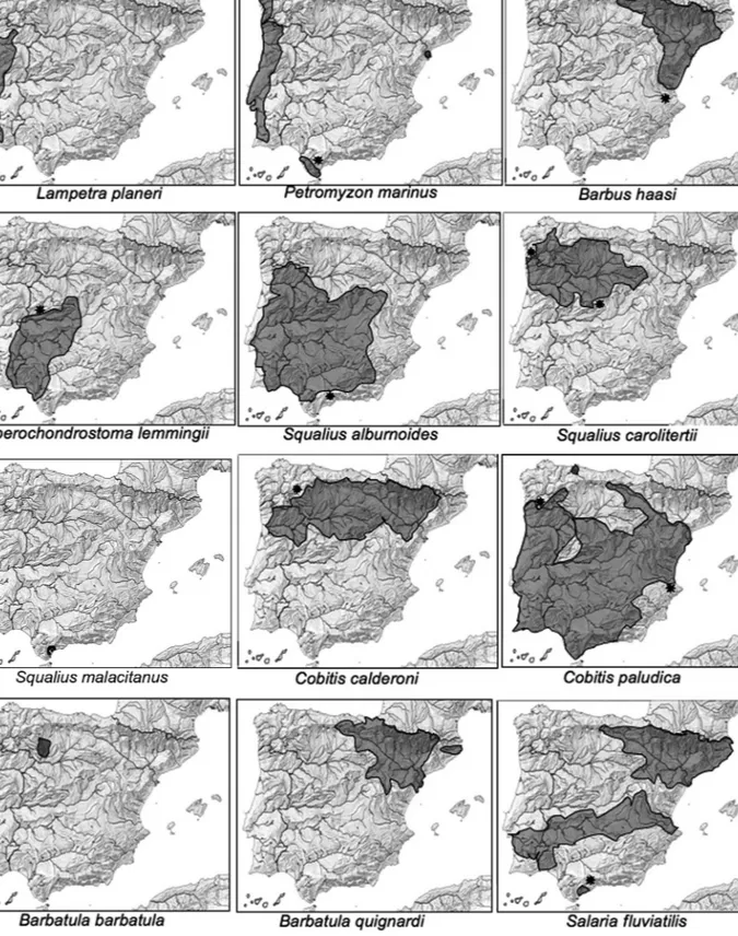 Fig. 1.— Iberian distribution of freshwater fish species included in this study. Black star indicates new records for these species.