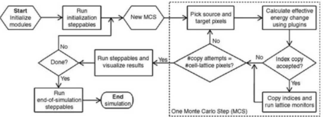 Figure 1.2: Basic representation of how the software of a CPM model works.