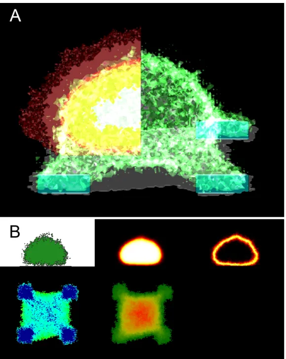 Figure 2.1: Example of the visual output of our model. See Figure 2.2 on page 23 and Figure 2.3 on page 24 for an explanation of how to read panel A and B respectively.