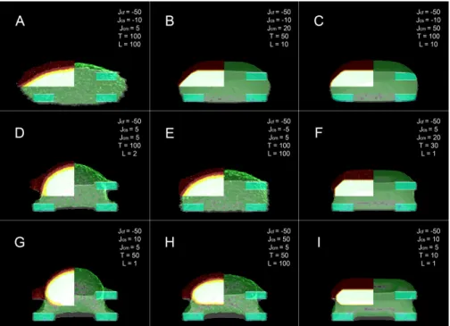 Figure 3.4: Compilation of a small set of different cell behaviours we can re- re-produce in our model