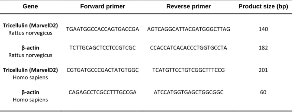 Table  1.  Pr P ri im me er rs s   s se eq qu ue en nc ce es s  o of f  tr t ri ic ce el ll lu ul li in n  (T ( TR RI IC C) )  an a nd d  of o f   β β- -a ac ct ti in n  us u se ed d  t to o  p pe er r fo f or rm m  re r ea al l- -t ti im me e  PC P CR R