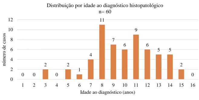 Figura 1 – Distribuição dos casos por idade ao diagnóstico de neoplasia 