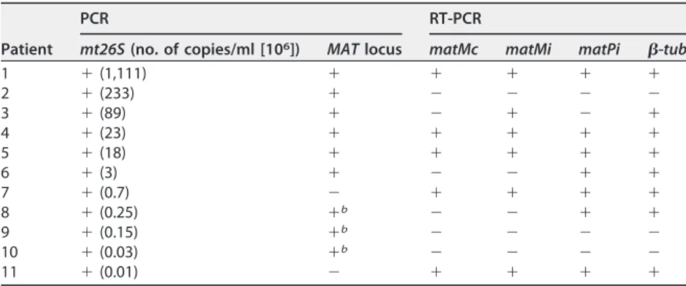 TABLE 2 Ampliﬁcation of the P. jirovecii MAT locus and MAT transcripts from BAL ﬂuid samples from 11 patients with pneumonia a