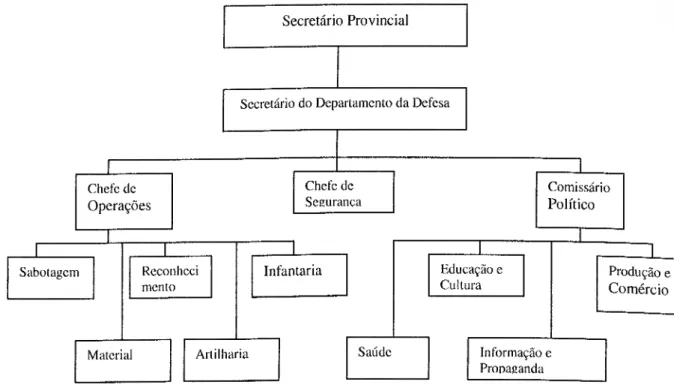 Figura l.A Nova Estrutura da FRELIMO a nível da Província  Secretário Provincial 