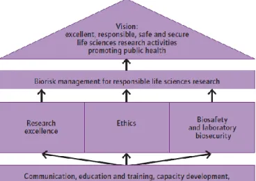 Figure  3  –  Biorisk  management  framework  for  responsible  life  sciences  research