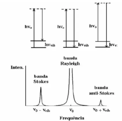 Figura 3.1 - Efeito Raman: radiação eletromagnética espalhada por uma  amostra: sem perda de energia (banda Rayleigh) ou inelasticamente, com a qual  modos vibracionais são excitados (banda Stokes) ou modos vibracionais  previamente excitados relaxam para 
