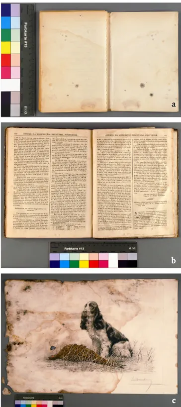 Figure 1. The three biodeteriorated documents used as case studies:  