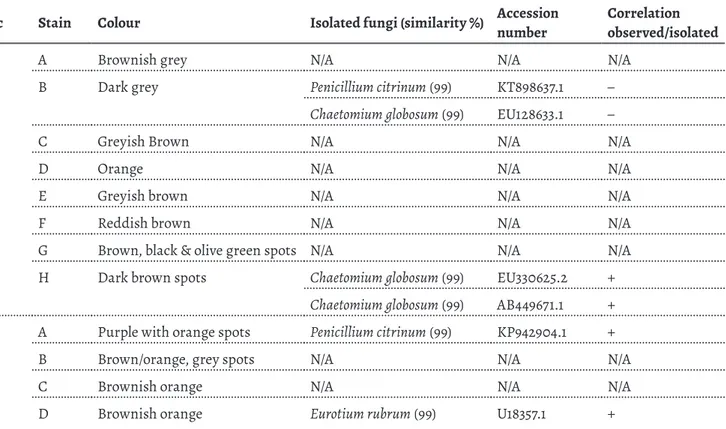 Table 1. Sampled stains from Document 1 (D1), Document 2 (D2) and Document 3 (D3) with respective observed colour and L*a*b* coordinates, isolated  fungal species, and correlation with fungal structures directly observed in the stains (–: negative correlat