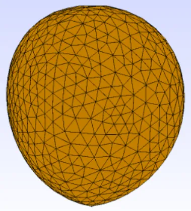 Fig. 3.4 presents the result of a surgery simulation in a gravity free environment. The result of the simulation is in FVLib XML format, which has to be converted into Gmsh, so that the surgeon can see the result (See Fig
