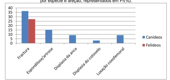 Gráfico 4. Distribuição dos casos observados nas especialidades de Ortopedia e traumatologia,  por espécie e afeção, representados em Fr(%)