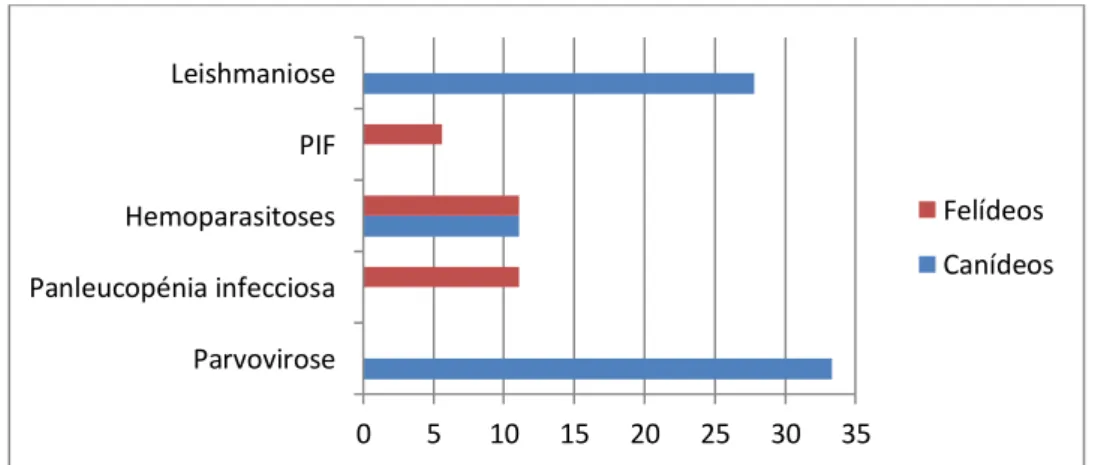 Gráfico 6. Distribuição dos casos observados na especialidade de Cardiologia, por espécie e  afeção, representados em Fr(%) 