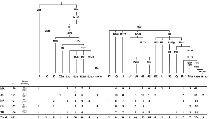 Figure 1 Phylogenetic tree of the Y-chromosome haplotypes. Haplogroup defining mutations assayed in this study are shown along branches