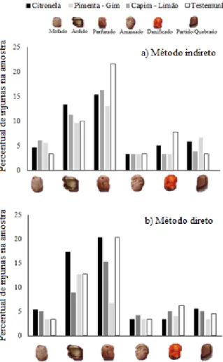 Figura  2.  Percentual  de  injúrias  em  grãos  de  feijão  ocasionadas  por  Sitophilus  spp